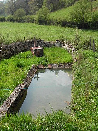 Au long des lavoirs collongeois