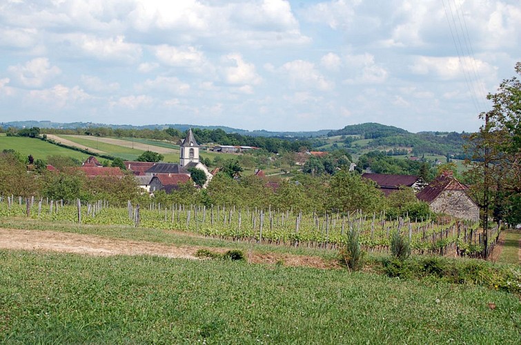 Autour du vignoble