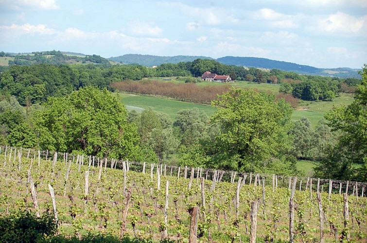 Autour du vignoble