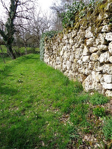 Autour du vignoble