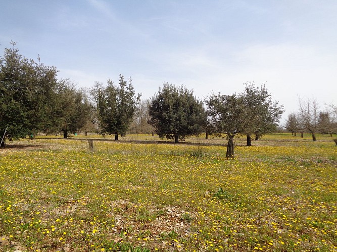 Autour du vignoble