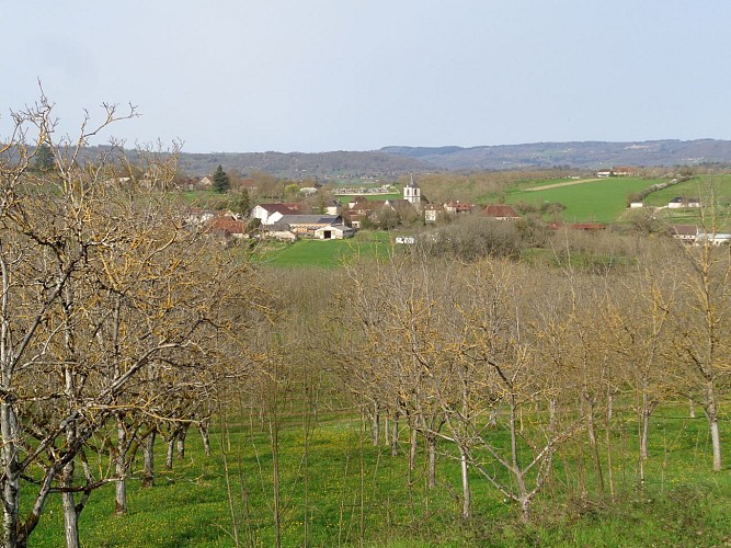 Autour du vignoble