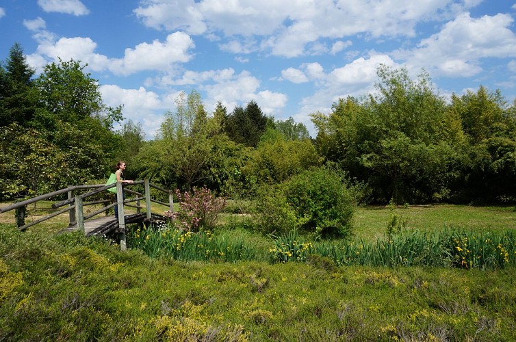 Arboretum - Chamberet ©N Jumelle (5)