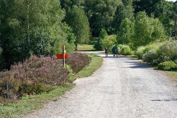 Arboretum Chamberet © Benoit Charles  (15)
