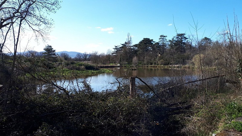 Chassagny - Les landes de Montagny - (marche nordique - Rando-douce)