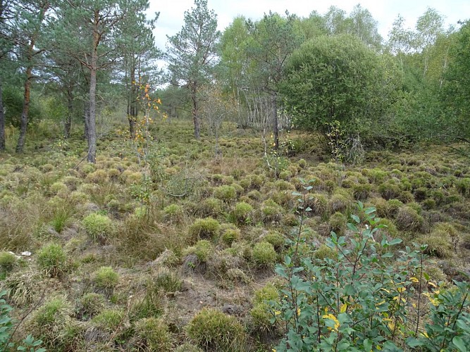 Le tour du marais de Cassan et Prentegarde