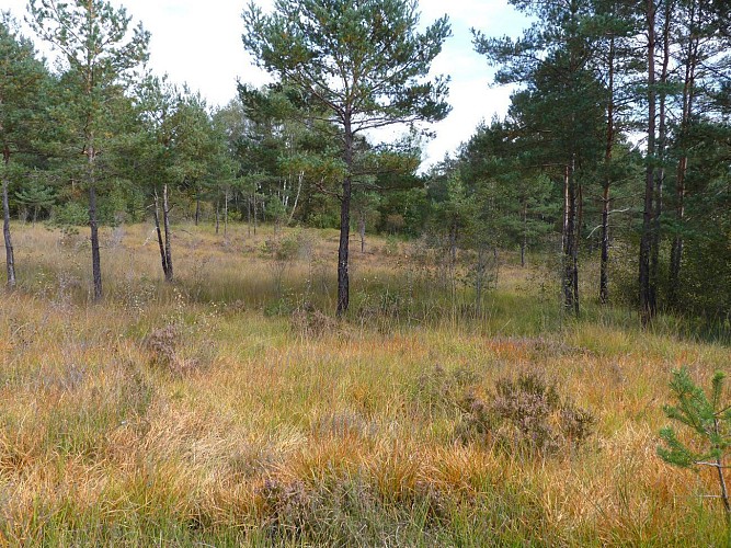 Le tour du marais de Cassan et Prentegarde