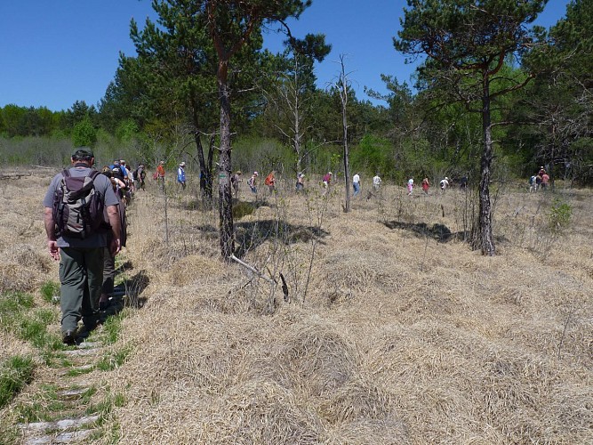 Le tour du marais de Cassan et Prentegarde