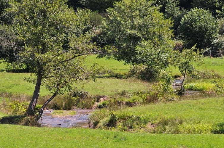 Chemin de Caux - La Mazière