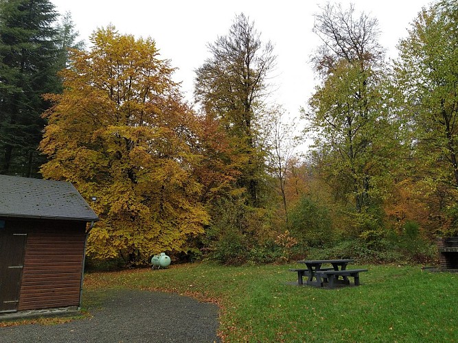 Houdremont-2020-automne-Prom le Ban ND-(AG) (6)