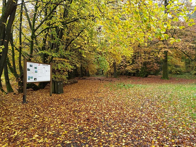 Houdremont-2020-automne-Prom le Ban ND-(AG) (14)