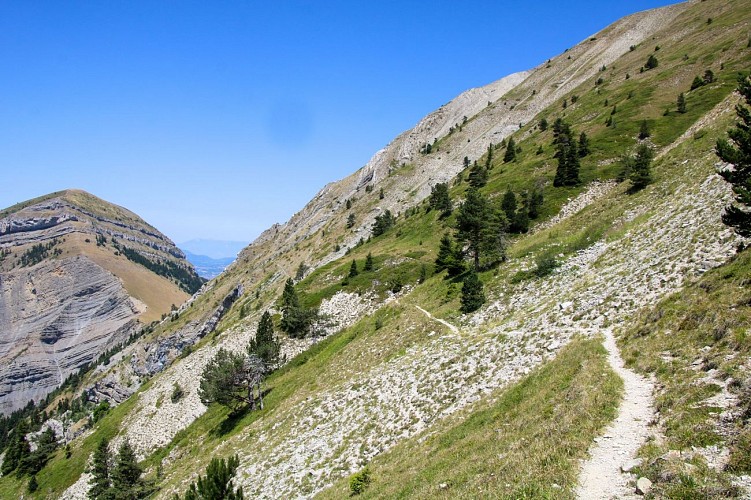 Le sentier des hirondelles
