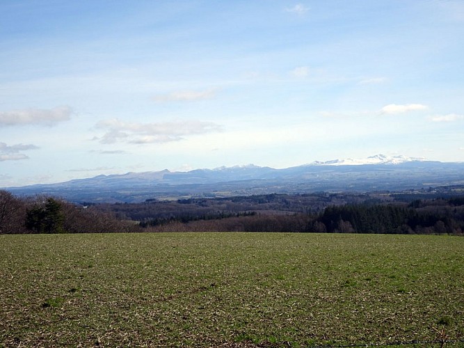Chemin de la factrice