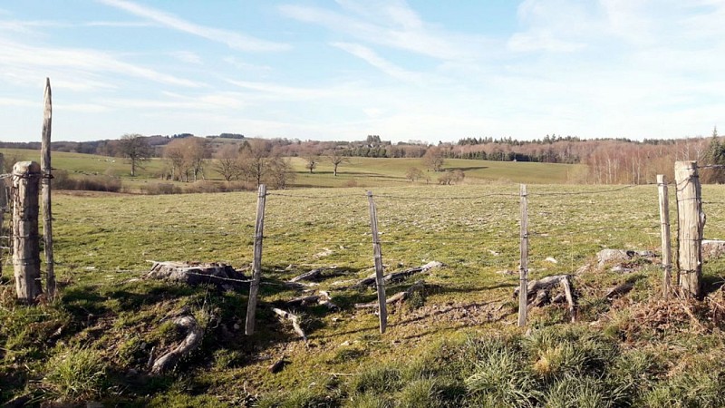 Chemin de la factrice