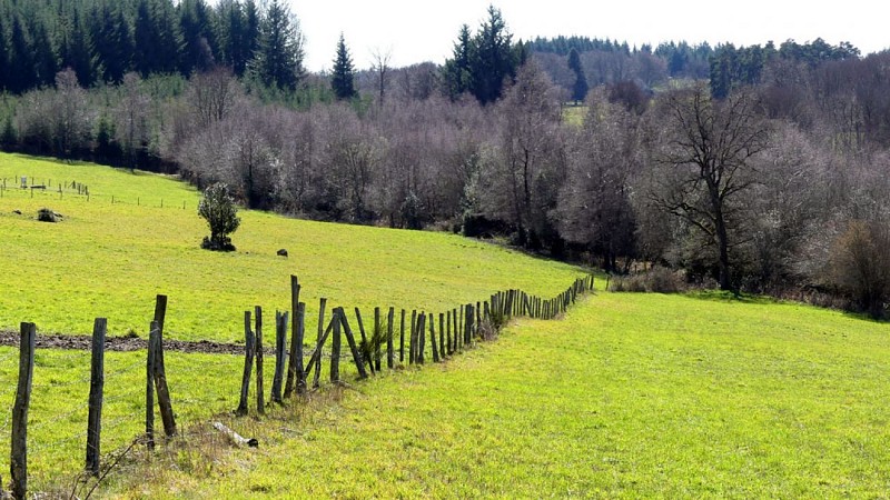 Chemin de la factrice