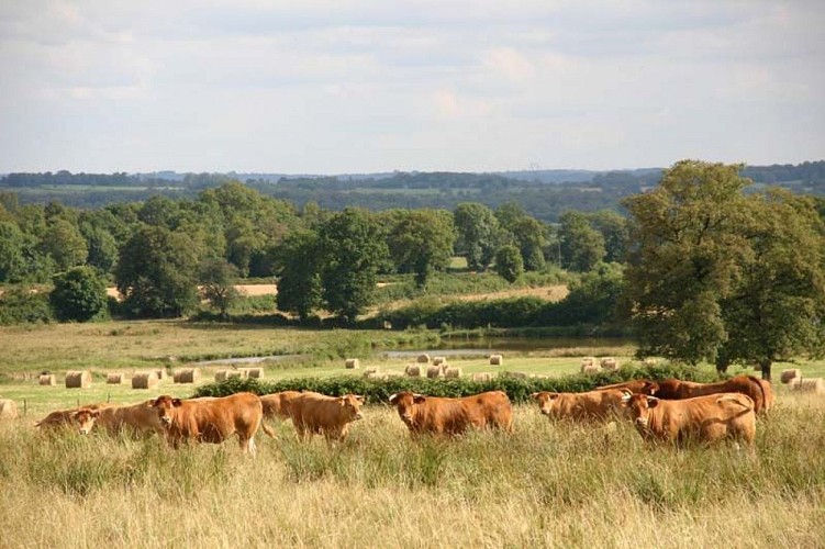 Chemin de la Margoulette