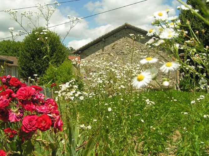Chemin de l'âme de l'âne au Rio Négro