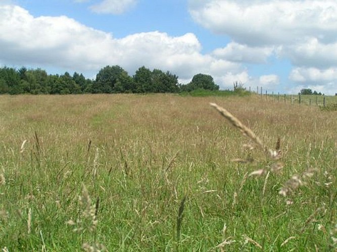 Chemin de l'âme de l'âne au Rio Négro
