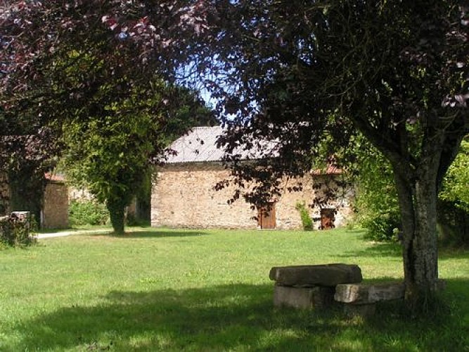 Chemin de l'âme de l'âne au Rio Négro