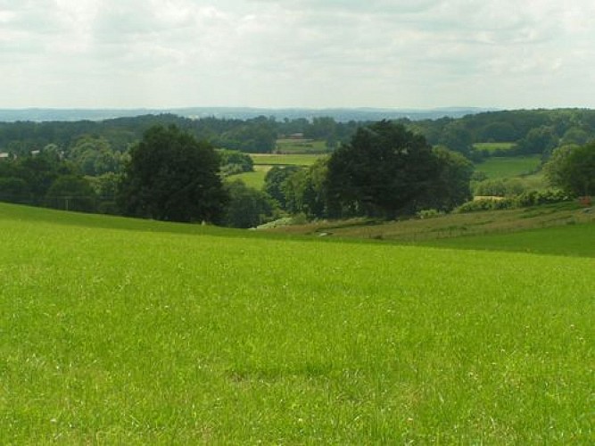 Chemin de l'âme de l'âne au Rio Négro