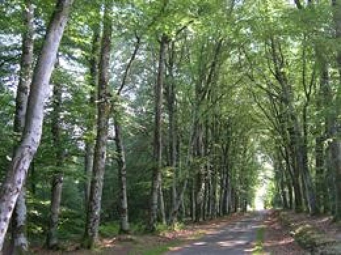 Chemin de l'âme de l'âne au Rio Négro