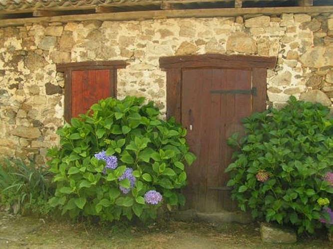 Chemin de l'âme de l'âne au Rio Négro