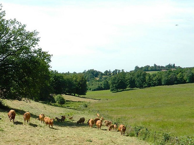 Chemin des écoliers