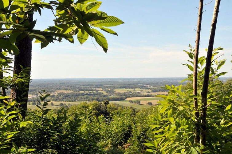 Chemin des Hêtres