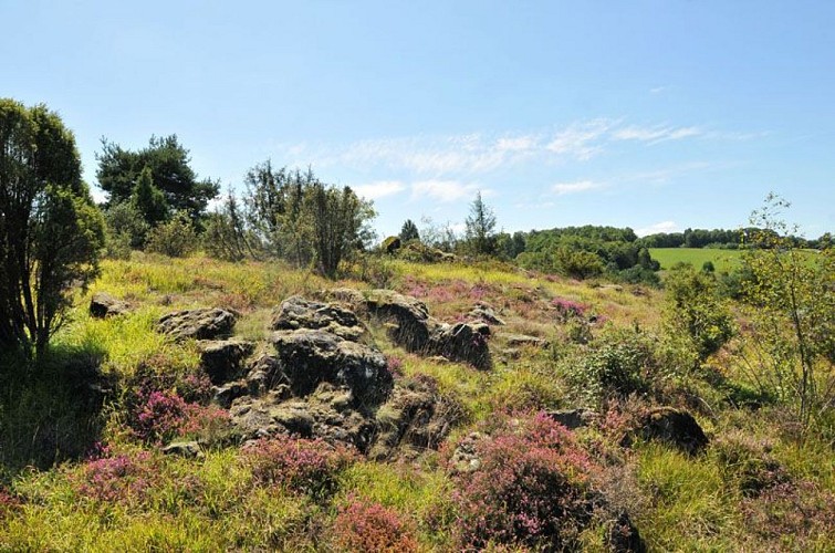 Chemin des Hêtres