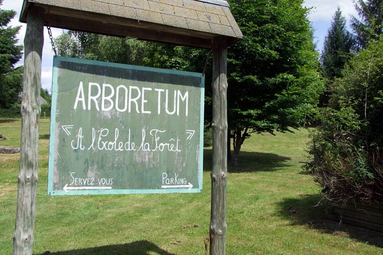 Chemins de traverse