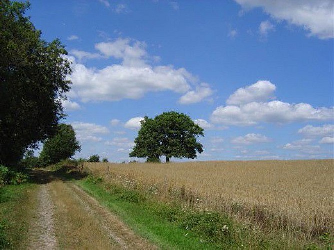 Circuit des rives de la Charente