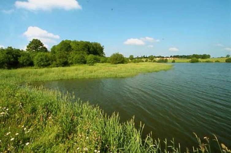 Circuit des rives de la Charente