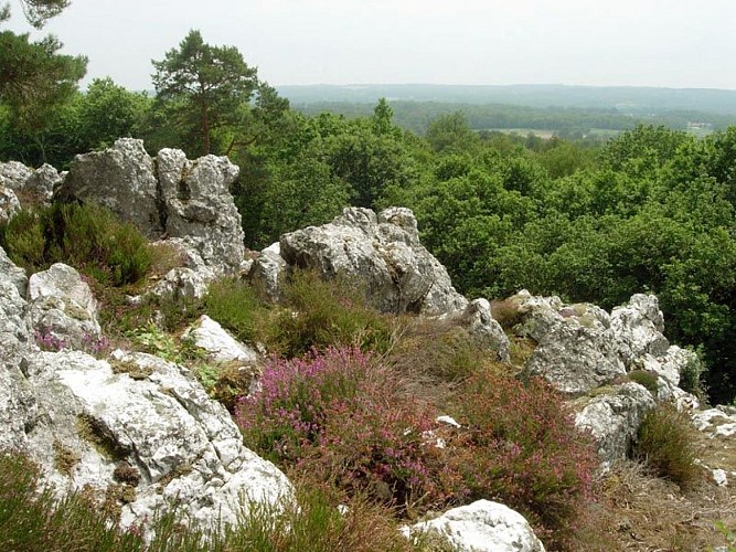 Circuit de la lande de Frochet