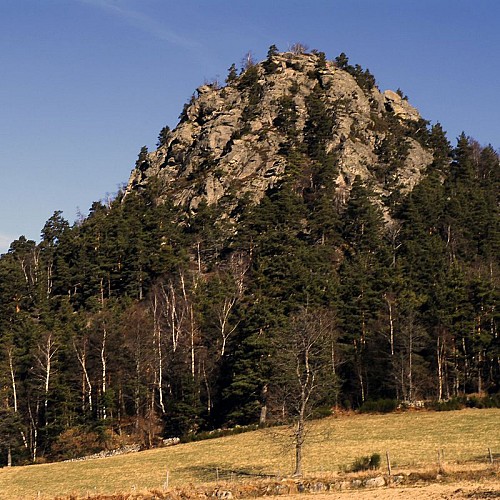 Le suc des Ollières