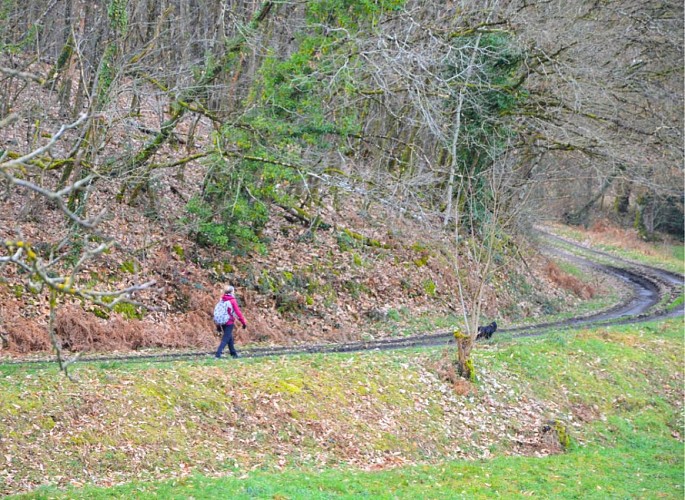 Circuit des Fontaines et des Étangs à Flavignac