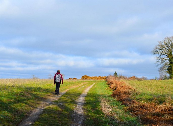 Circuit des Fontaines et des Étangs à Flavignac