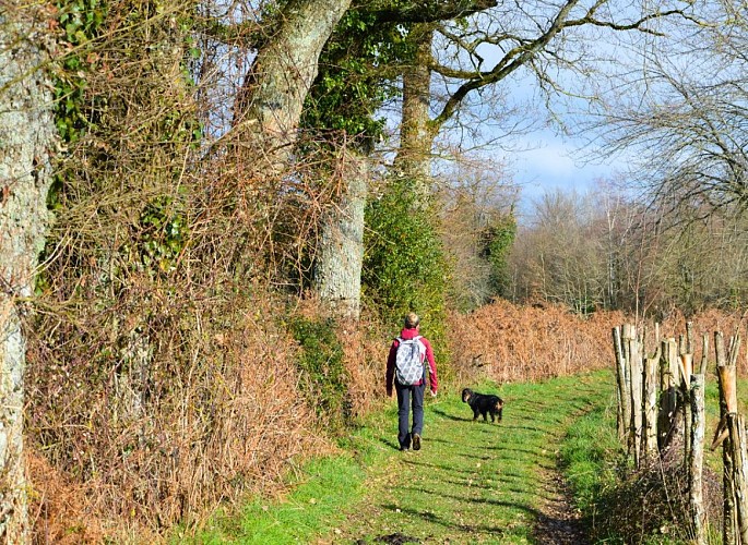 Circuit des Fontaines et des Étangs à Flavignac