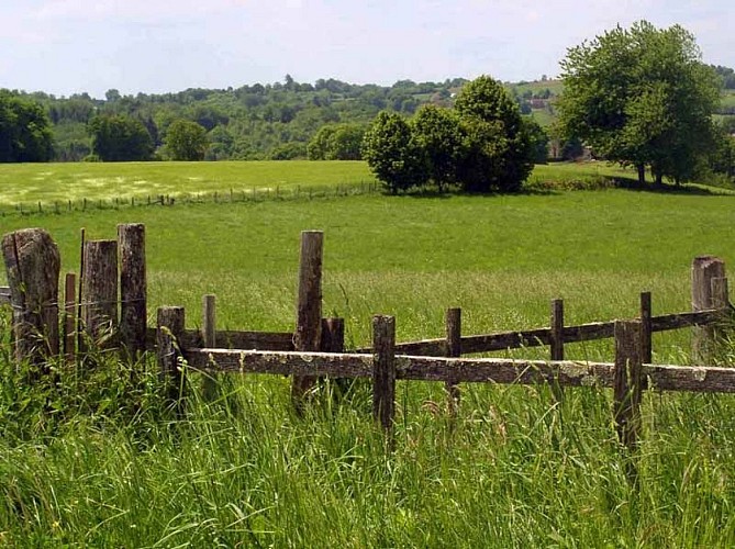 Circuit des mines d'or de la forêt de Champ Vert
