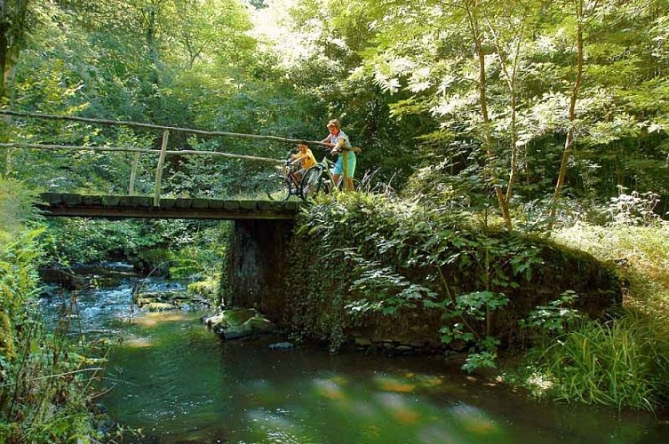 Circuit des mines d'or de la forêt de Champ Vert