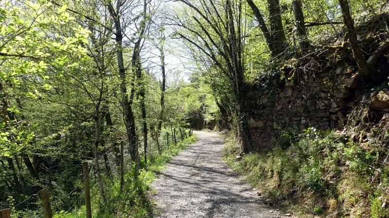 Circuit des Monastères