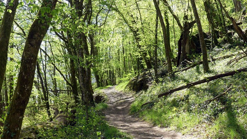 Circuit des Monastères