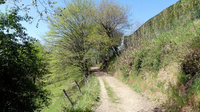 Circuit des Monastères