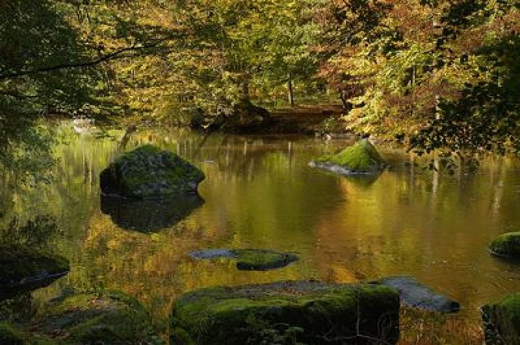 Circuit des sources de la Dronne