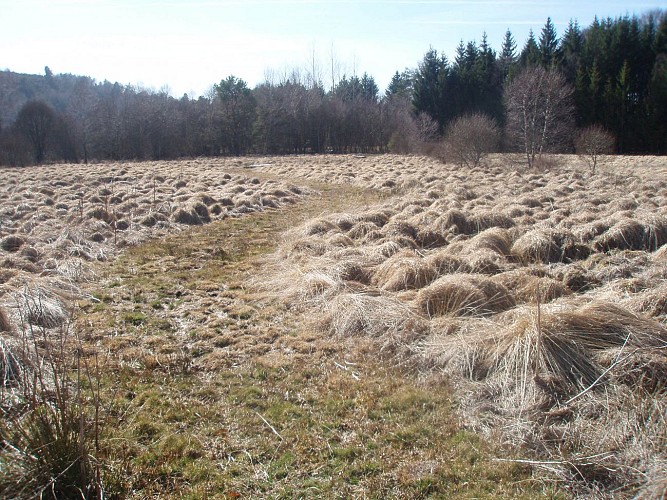 POIS8_Peyrelevade_tourbière_auteur_HCC_G._Salat