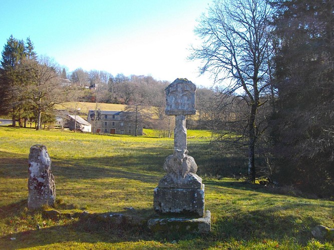 POIS9_Peyrelevade_Servières_mouton_auteur_HCC_G._Salat