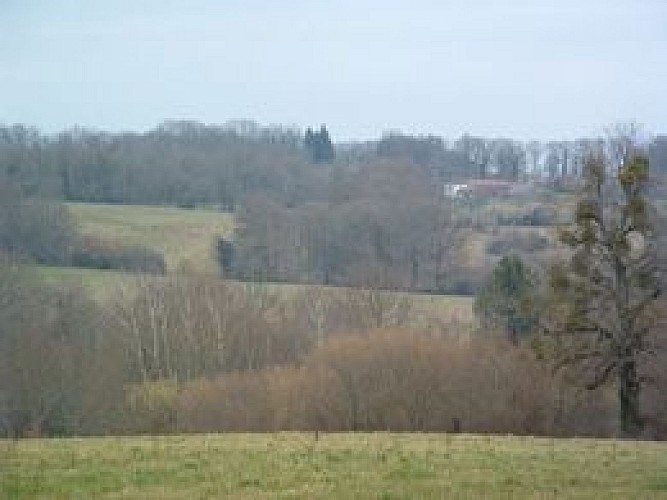 Circuit du Bois Badaraud