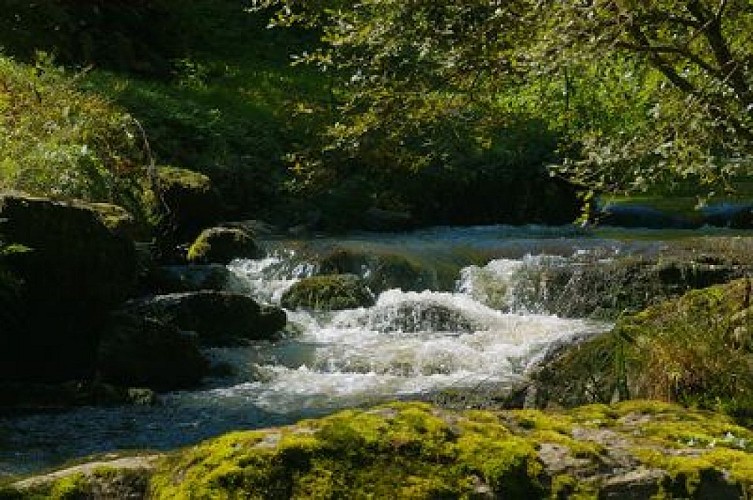 Circuit du château de Lavauguyon