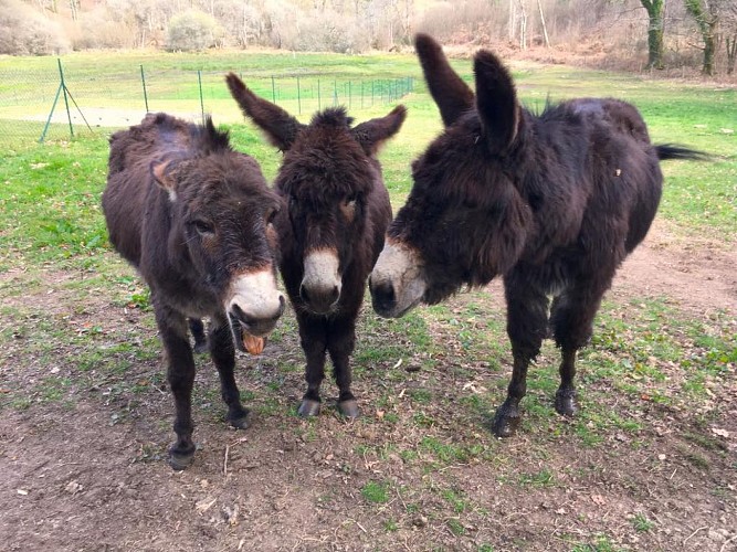 Circuit du Loup Garou