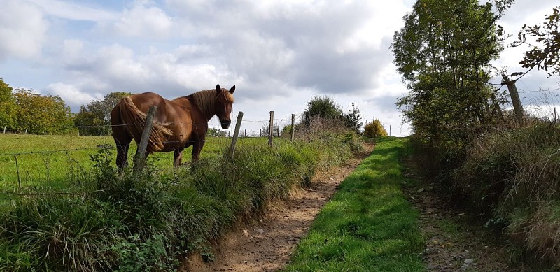 Du POC au Dolmen - Espartignac © A.Blanchet - Office de Tourisme Terres de Corrèze (2)