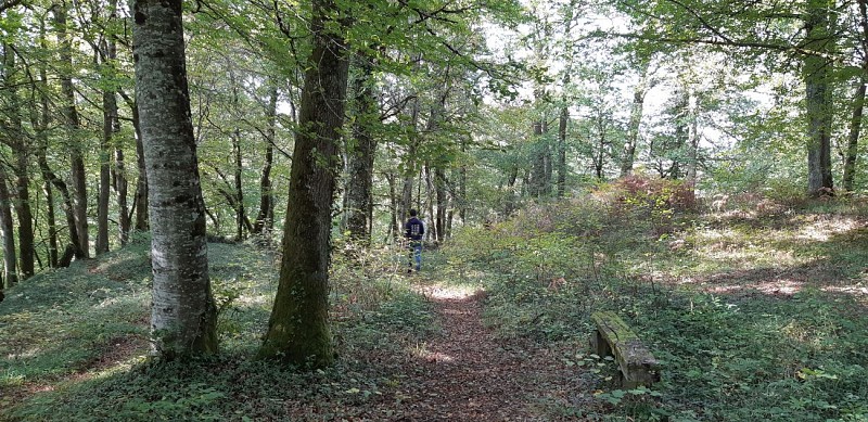 Du POC au Dolmen - Espartignac © A.Blanchet - Office de Tourisme Terres de Corrèze (5)